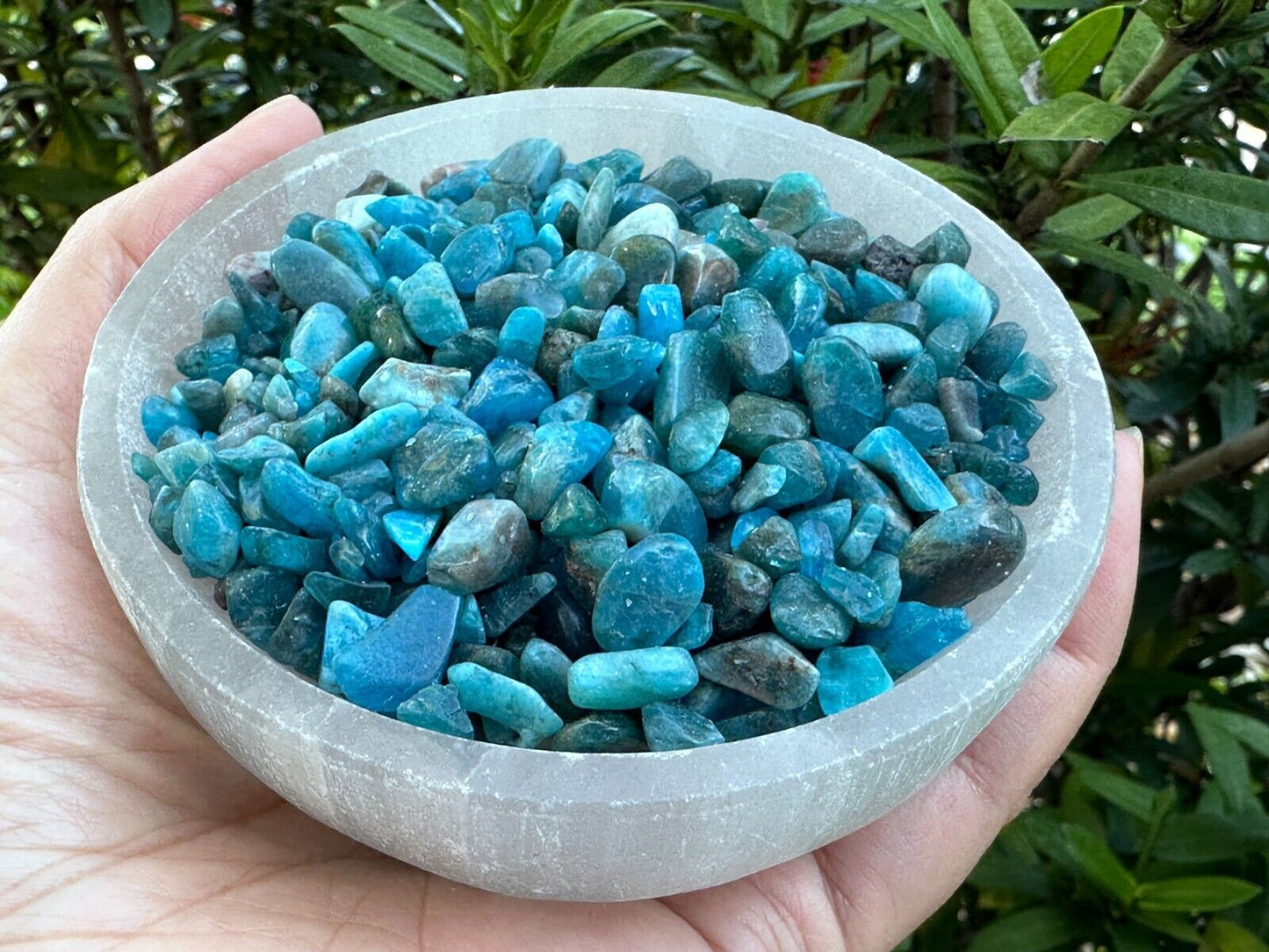 Grade A++ Apatite Semi Tumbled Gemstone Mini Chips 4 - 8 mm, Wholesale Bulk Lot