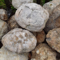 5 lbs Premium Kentucky Uncut Geodes Agates Nodules Lapidary Quartz Crystals Sale