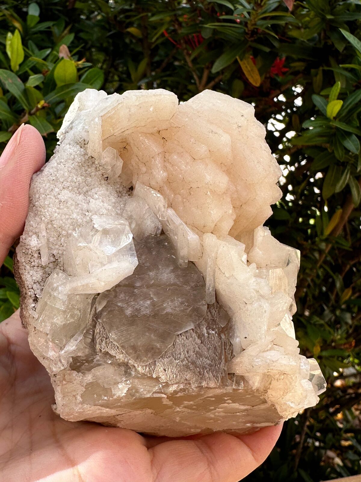 Apophyllite & Stilbite Crystal Cluster 3-8", Apophyllite Cluster with Inclusions