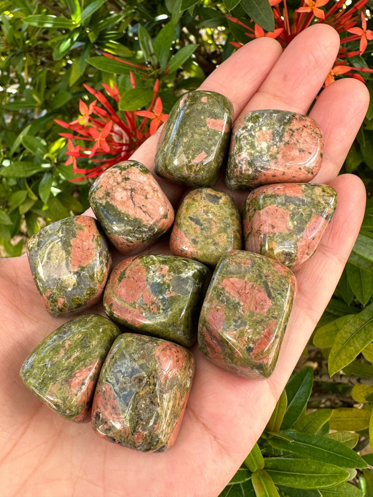 1/2 Lb Lot Tumbled Stones, 0.75-1.25" Crystal Healing Stones, Choose Stone Type