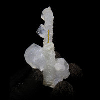 Apophyllite Rare Cluster Matrix 7cm 180g Shiny Tower Crystal Specimen from India