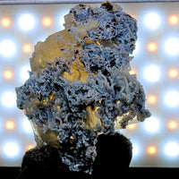 Rare Rainbow Calcite with Mordenite 76g Cabinet Specimen India 7x5.5cm