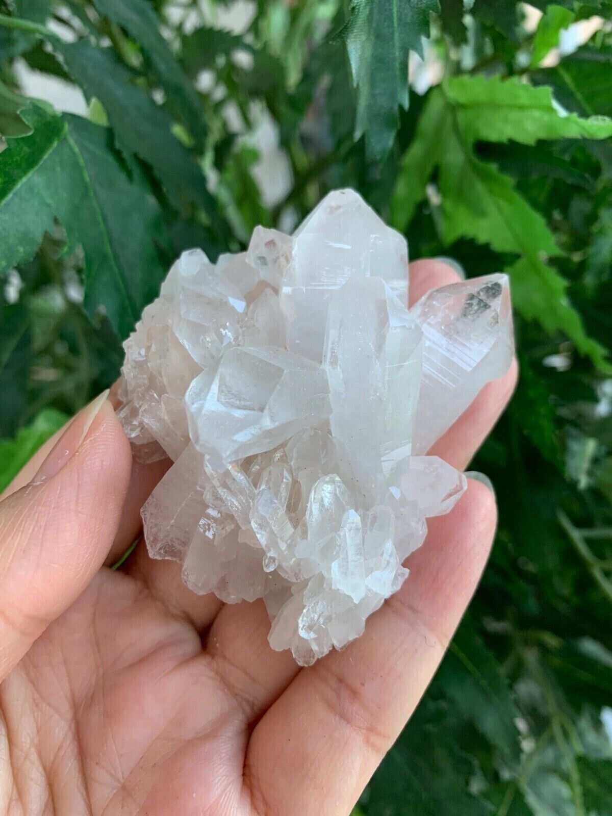 Grade A++ Clear Quartz Crystal Cluster, 1.5"- 2" Raw Clear Quartz Geode