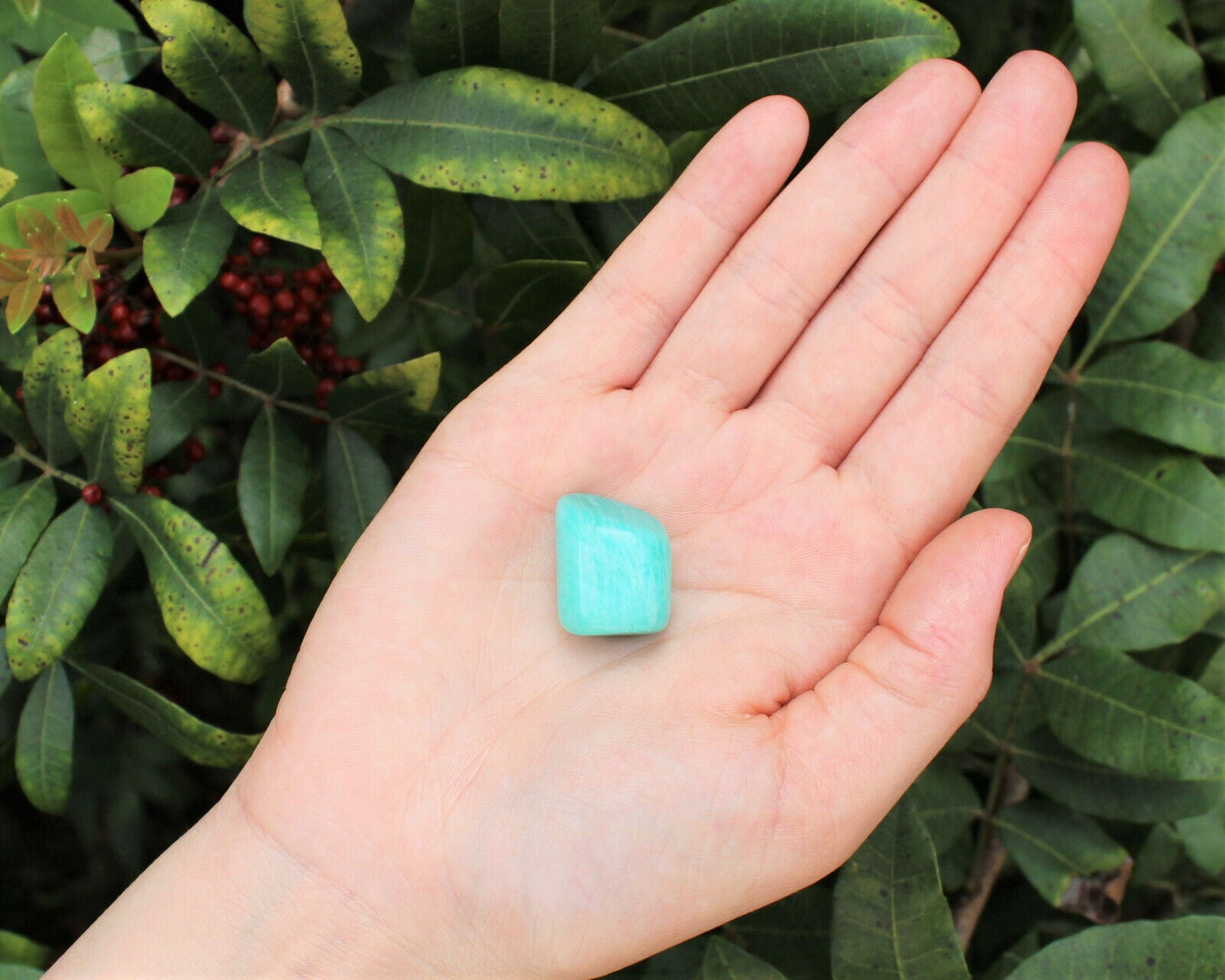 1 x Tumbled Stones : You Choose Type - Huge Range - ON SALE! (Crystal Healing)