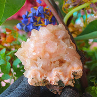 Rare 200g Natural Stilbite & Heulandite on Matrix Mineral Specimen India