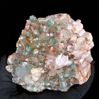 826g Green Himalayan Clear Quartz Cluster Rare Mineral Specimen from India