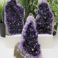 Stunning HUGE Amethyst Cut Base Cluster Crystal Quartz Geode 2 lb - 3 lb