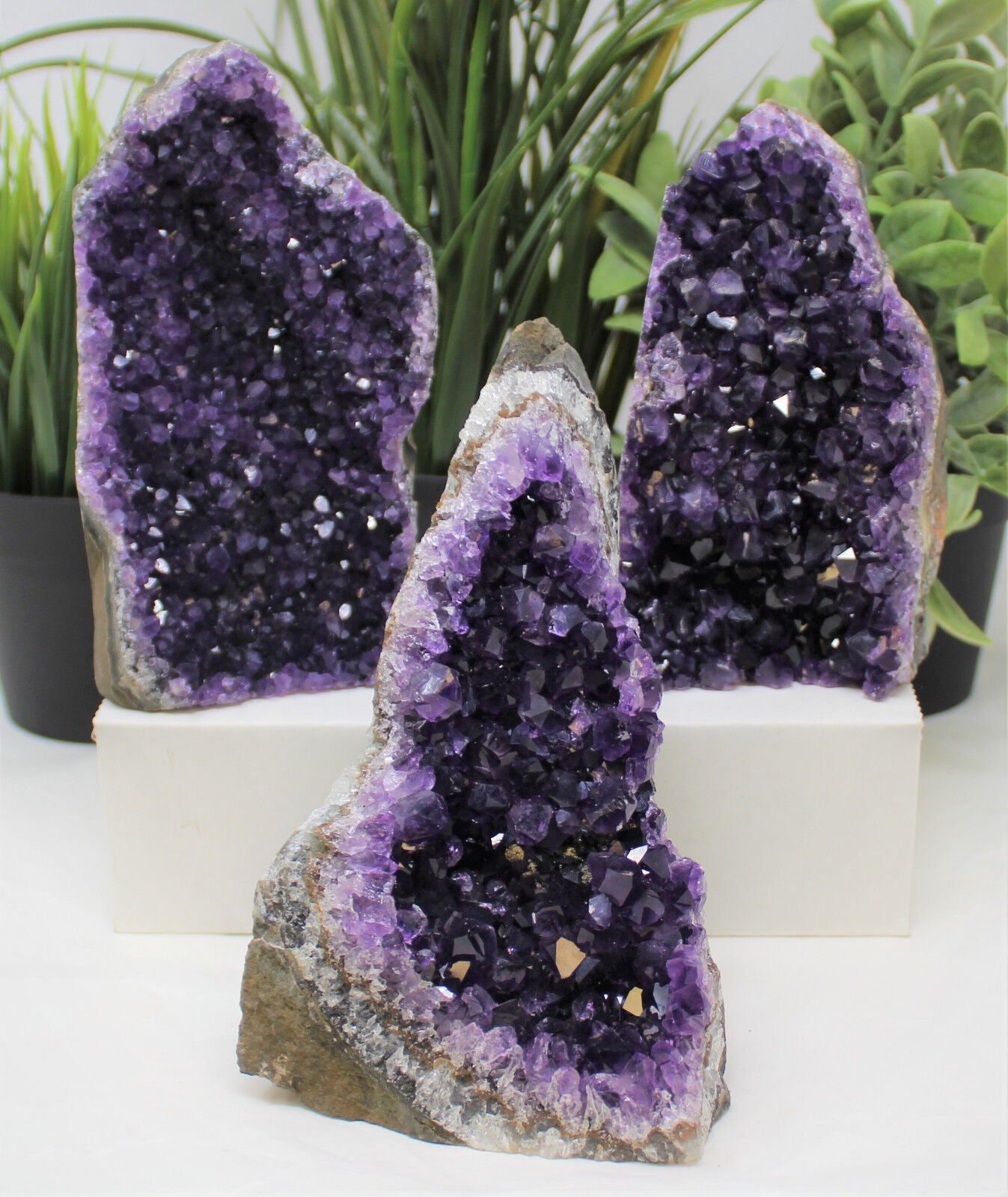 Stunning HUGE Amethyst Cut Base Cluster Crystal Quartz Geode 2 lb - 3 lb
