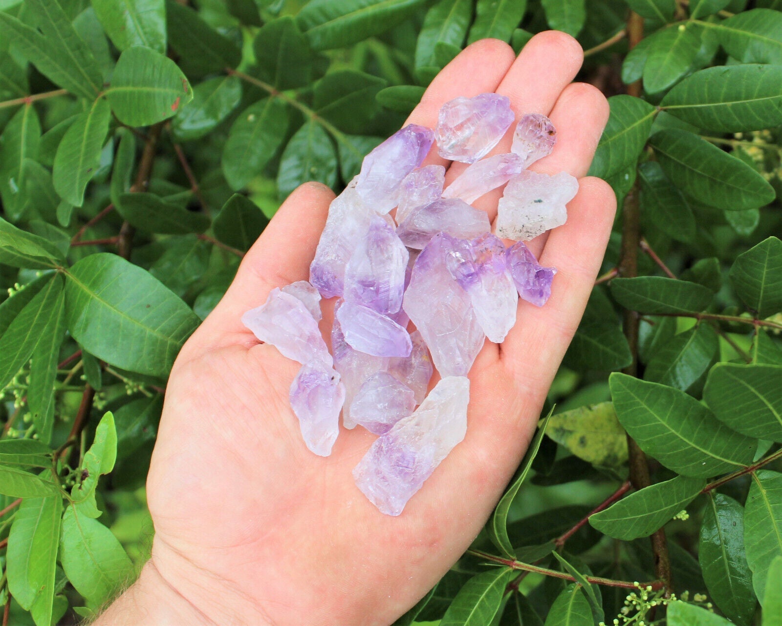 Wholesale CLEARANCE Amethyst Crystal Points, 500 Carat Lot Natural Rough Quartz