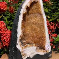 X-Large Citrine Cathedral, Citrine Geode, Honey Citrine Cluster, Pick a Weight