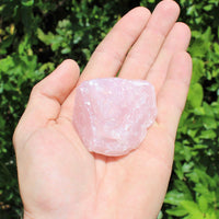 Single Large Rough Rose Quartz Crystal | 2"–3" Natural Raw Love Stone | Healing Specimen