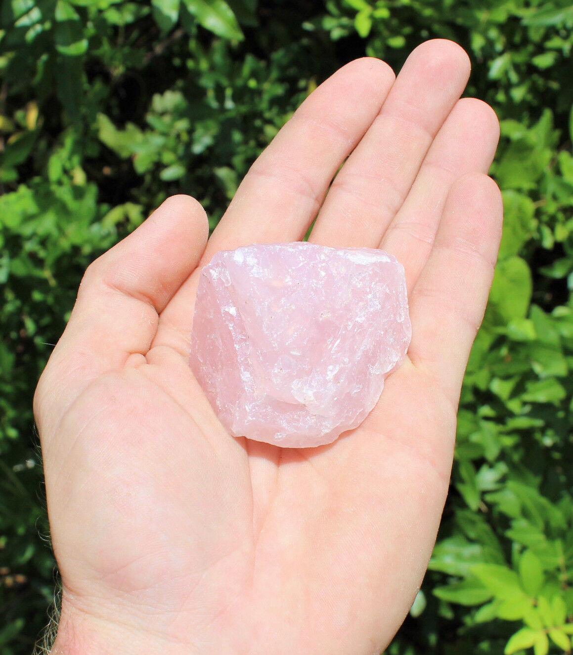 Single Large Rough Rose Quartz Crystal | 2"–3" Natural Raw Love Stone | Healing Specimen