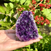 Stunning LARGE Amethyst Cut Base Cluster, Crystal Quartz Geode 8 - 11 oz