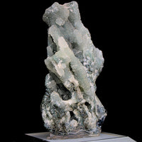 Rare Coral Chalcedony Cluster 66g Natural Mineral Specimen India