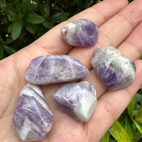1/2 Lb Lot Tumbled Stones, 0.75-1.25" Crystal Healing Stones, Choose Stone Type