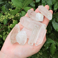 Bulk Wholesale 5 lb Lot CLEARANCE Natural Quartz Crystal Points (GREAT VALUE)