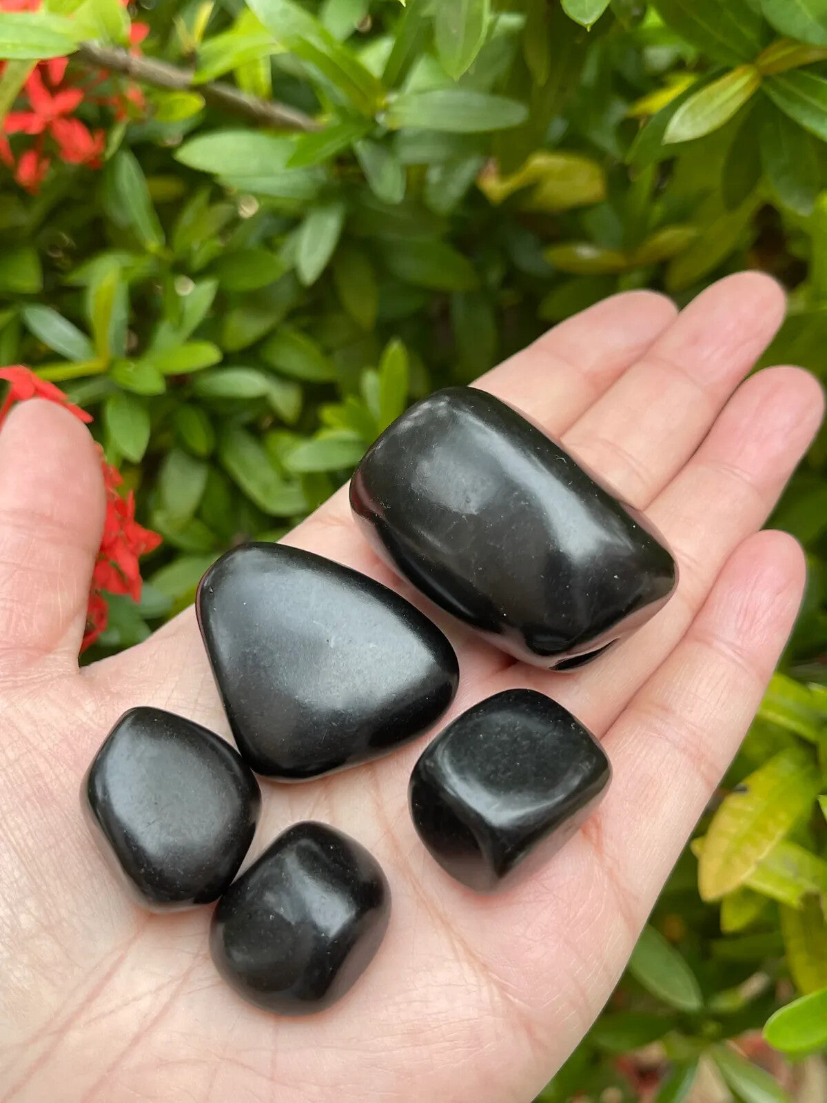 1/2 Lb Lot Tumbled Stones, 0.75-1.25" Crystal Healing Stones, Choose Stone Type