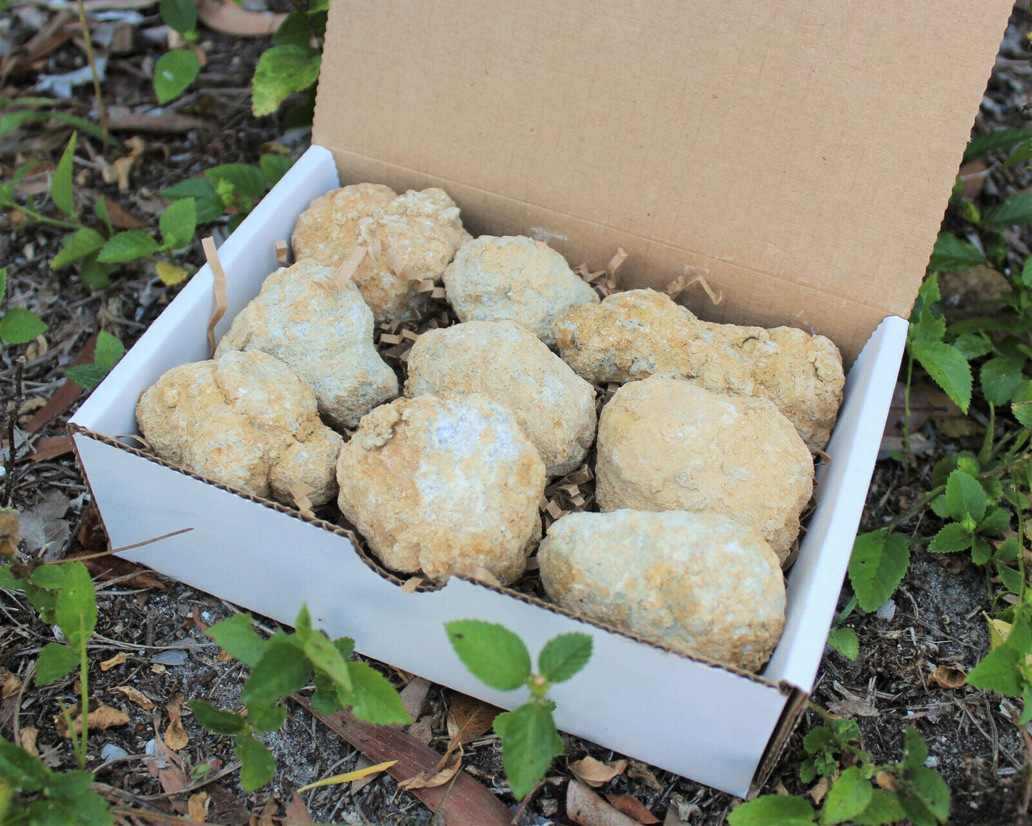 Break Your Own Geodes Gift Box (8 - 12 pcs) Large Unopened Moroccan Crystals