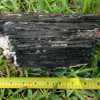 Extra Large Black Tourmaline Chunk / Rod / Log, Natural Rough Black Tourmaline