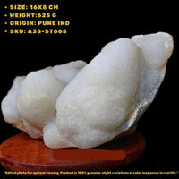MM Quartz Cluster 625g Natural Healing Crystal Mineral India Display