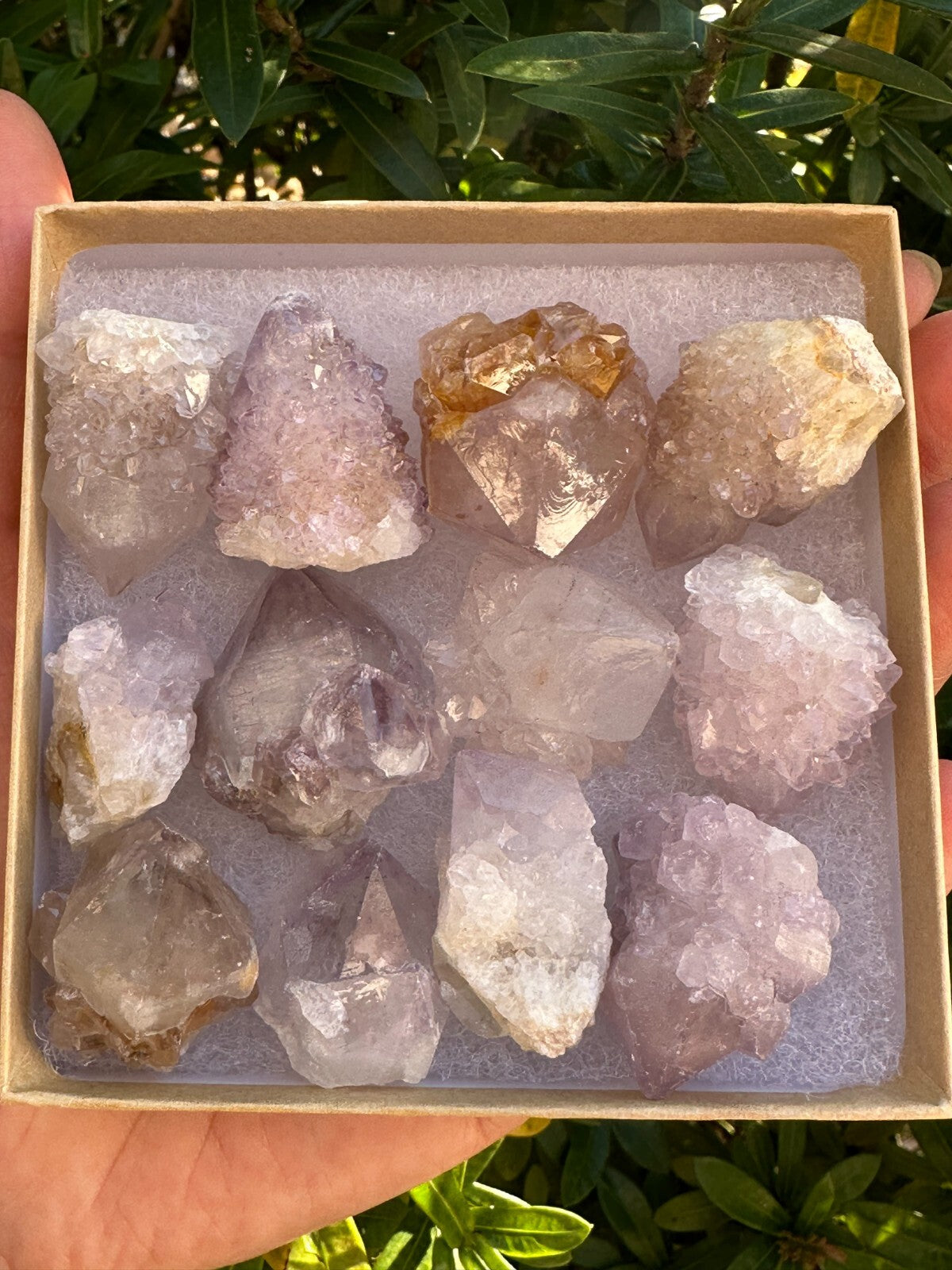 Spirit Quartz Clusters Crystal Collection Box: 6 - 7 oz Box Lot, 11 - 14 Pieces