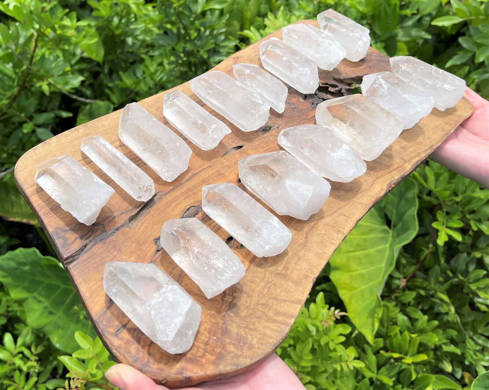 Clear Quartz Crystal Point (2" - 3") Natural Wand Specimen, Reiki Healing