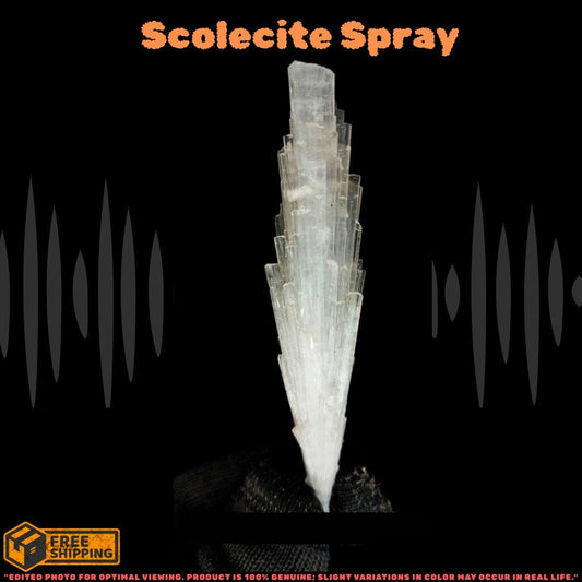 Natural Scolecite Cluster 10g Mini White Zeolite Mineral Specimen India