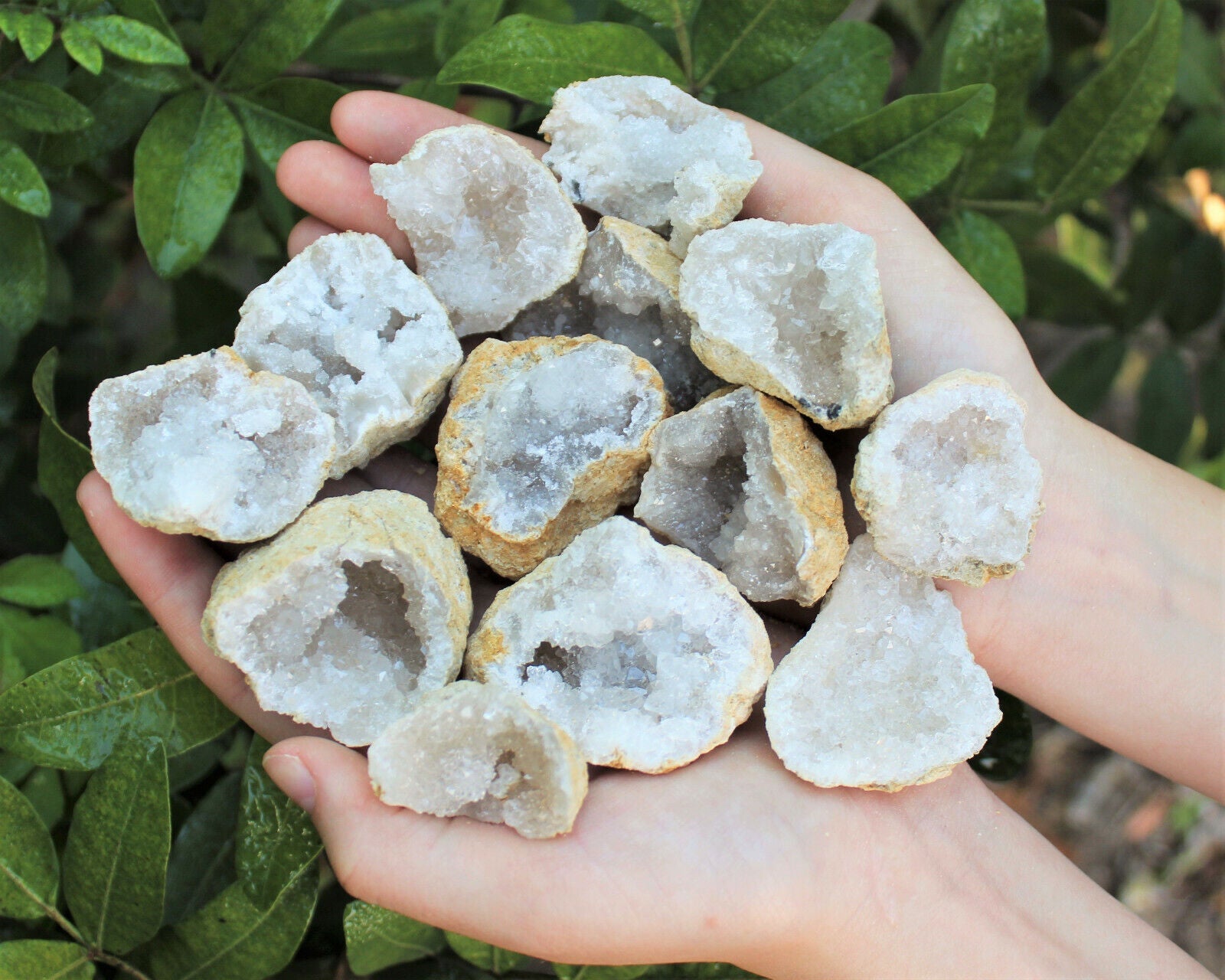 Break Your Own Geodes Gift Box (8 - 12 pcs) Large Unopened Moroccan Crystals