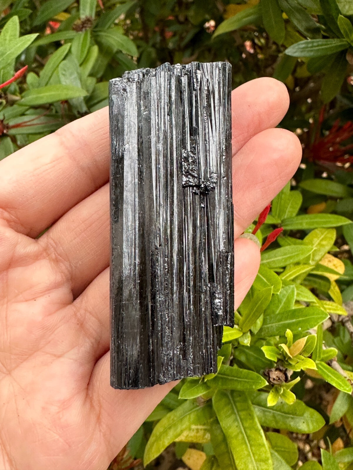 5 pcs Set Shiny Black Tourmaline Log, Grade A++ Natural Black Tourmaline Rod