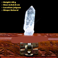 Himalayan Clear Quartz Cluster 40g 5x2cm Natural Raw Crystal Collector