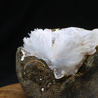 Apophyllite & Scolecite 270g Geode Spray Rare Mineral Specimen from India