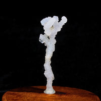 Bulk 16 Piece Natural Apophyllite Tips Pointed Cluster under 150g Wholesale lots