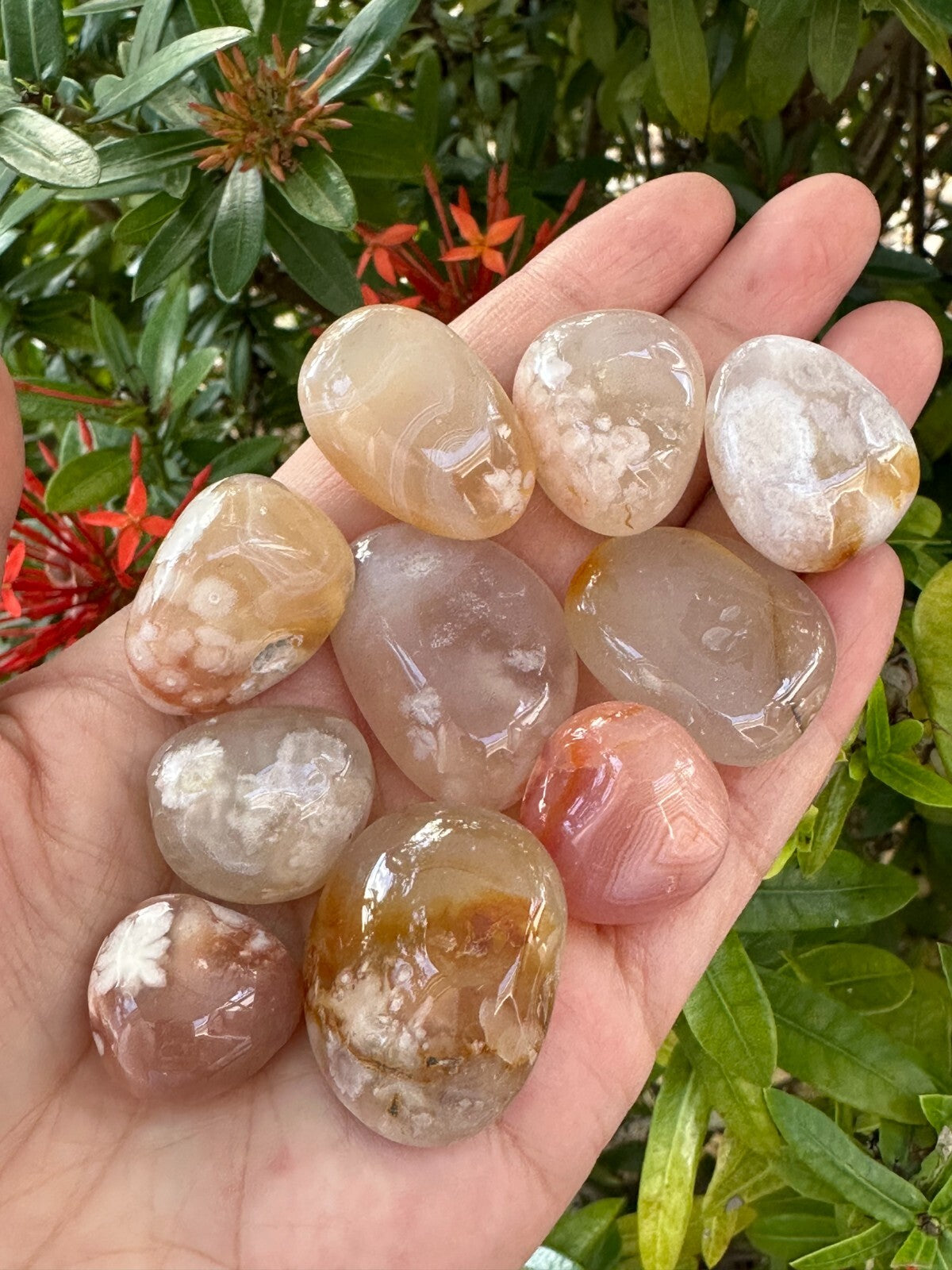 1/2 Lb Lot Tumbled Stones, 0.75-1.25" Crystal Healing Stones, Choose Stone Type