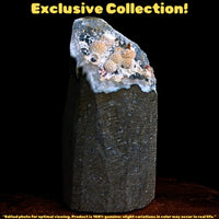 Rare MM Quartz Mordenite Ball Geode 256g Indian Zeolite Specimen