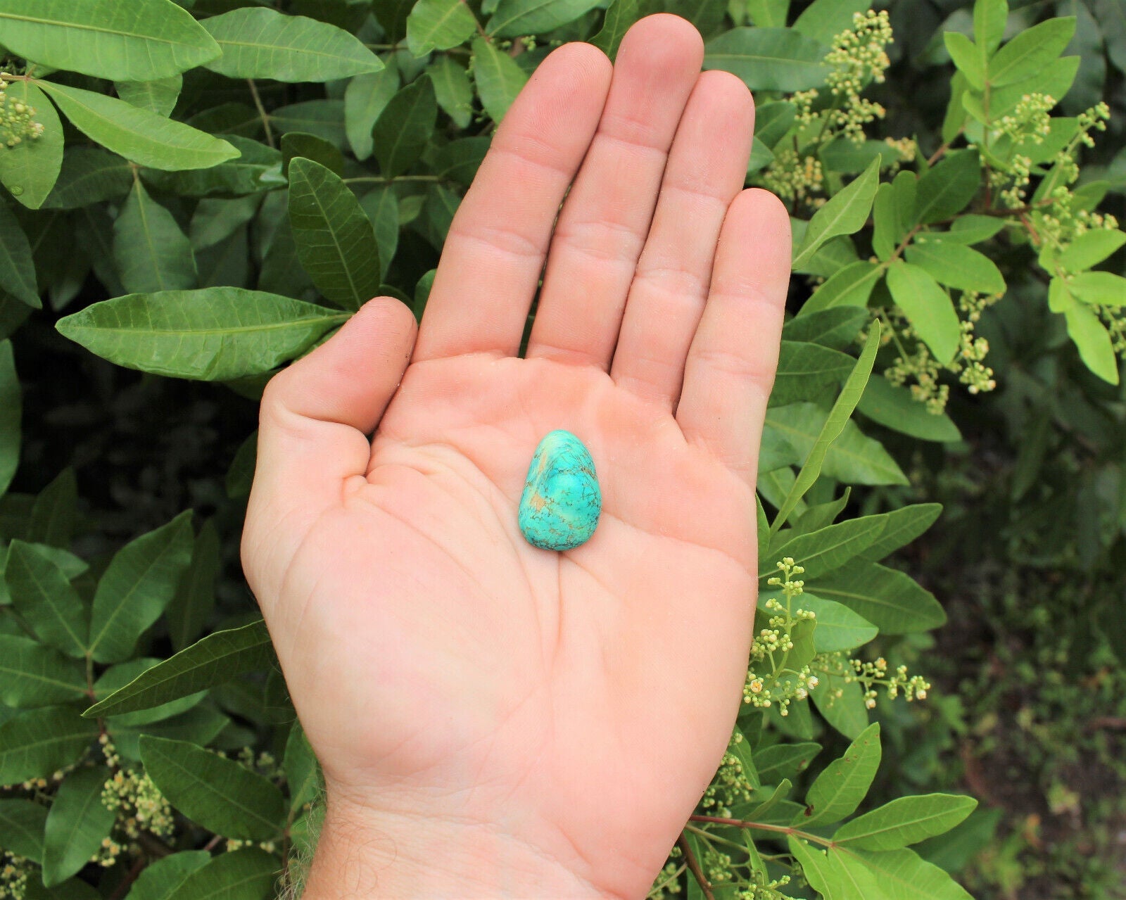 1 x Tumbled Stones : You Choose Type - Huge Range - ON SALE! (Crystal Healing)