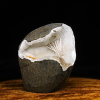 Natural Scolecite Spray Geode – 135g – Zeolite Crystal from India 🇮🇳