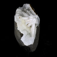 Natural Scolecite Geode Spray 156g | Zeolite Mineral Cluster from India 7x6cm