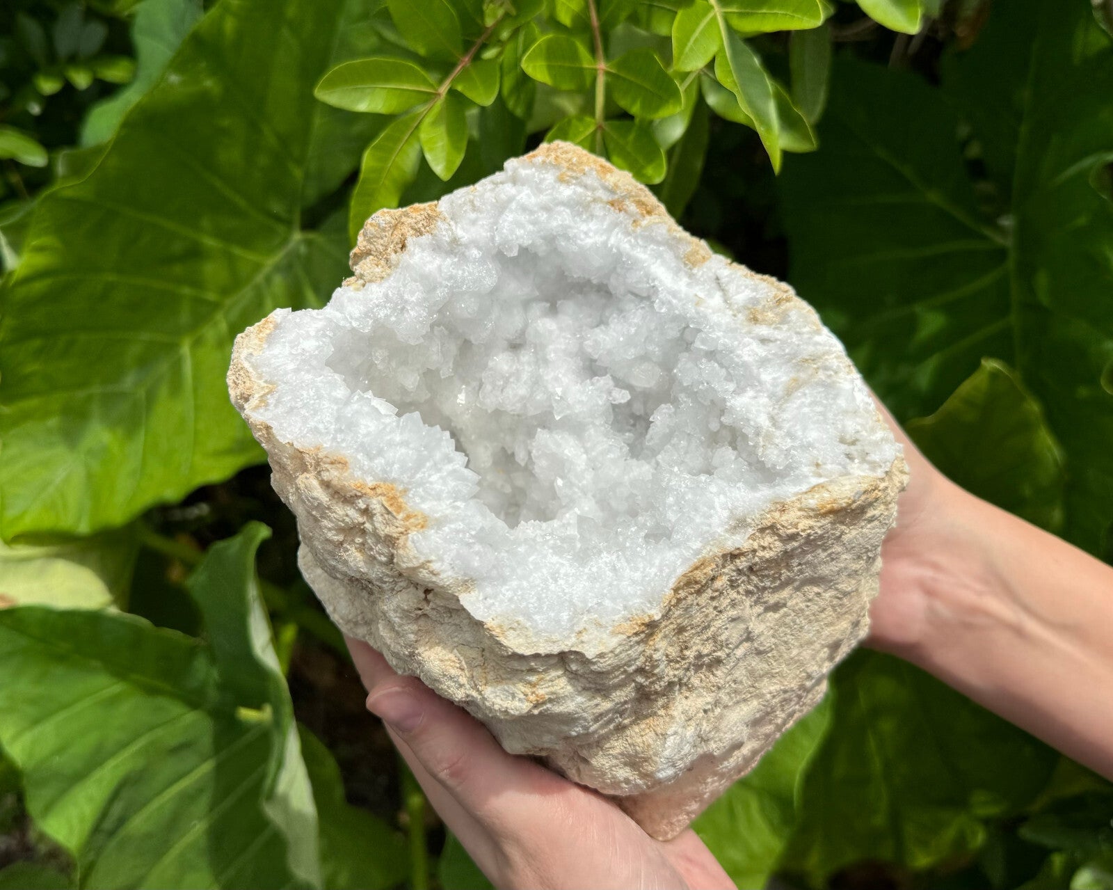 MASSIVE Sugar Quartz Geodes - Natural Crystal Geode Specimens From Morocco