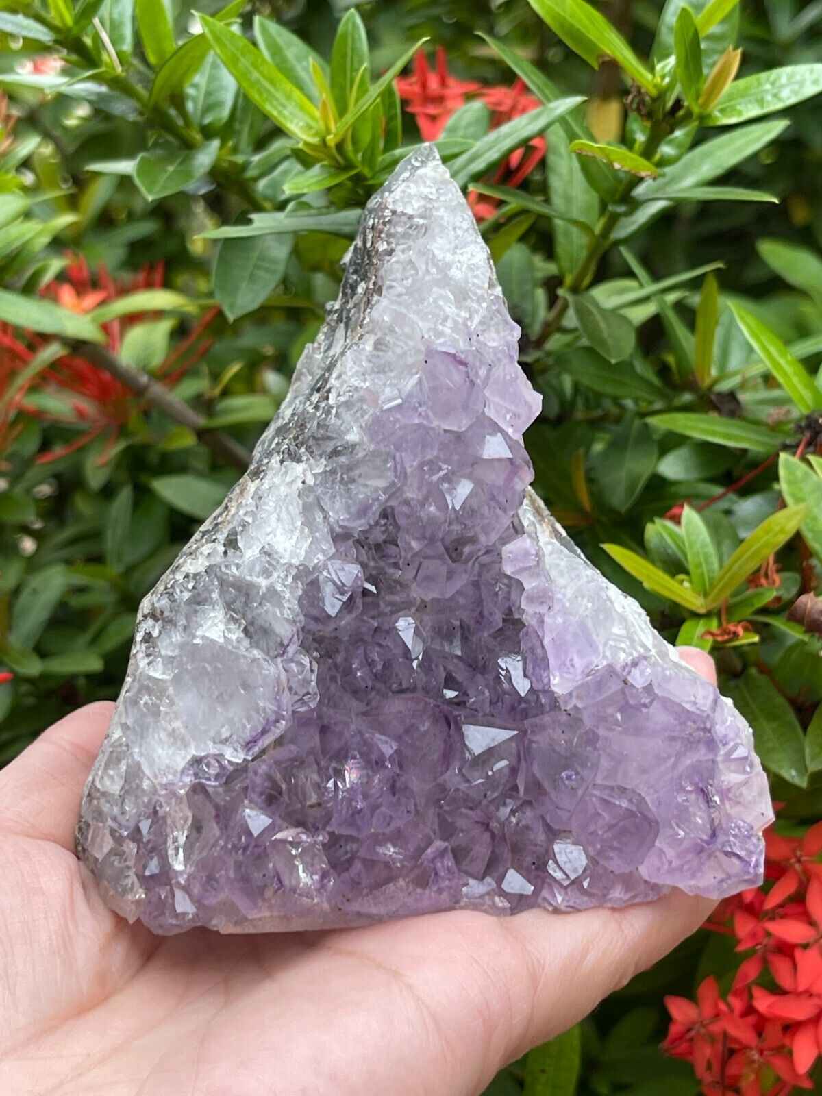 Uruguayan Amethyst Cluster, Grade B Amethyst Geode with Cut Base, Pick a Size