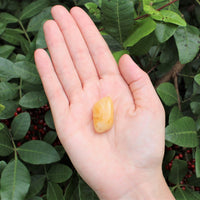 1 x Tumbled Stones : You Choose Type - Huge Range - ON SALE! (Crystal Healing)