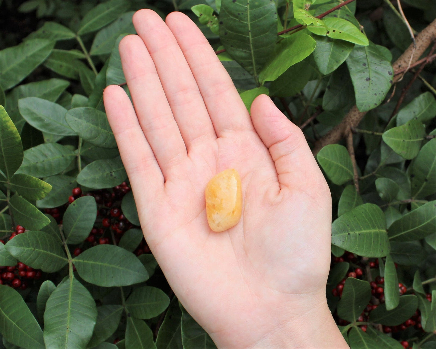 1 x Tumbled Stones : You Choose Type - Huge Range - ON SALE! (Crystal Healing)