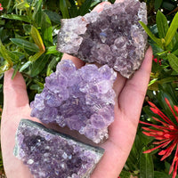 Grade A Amethyst Cluster, Amethyst Geode, Raw Amethyst Druze, Wholesale Bulk Lot