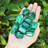 5 MEDIUM Malachite Tumbled Stone (Crystal Healing Reiki Gemstone Metaphysical)