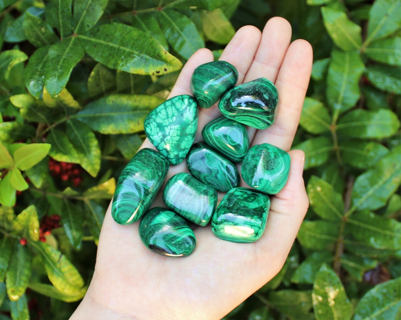 5 MEDIUM Malachite Tumbled Stone (Crystal Healing Reiki Gemstone Metaphysical)