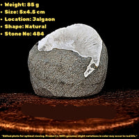 Natural Scolecite Geode 85g Raw Healing Crystal Mineral Specimen