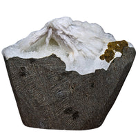 Natural Scolecite Geode Spray 156g | Zeolite Mineral Cluster from India 7x6cm