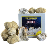 10 Break Crack Open Your Own Whole indian Geodes W/Gift Box - 2" Crystal Druzy