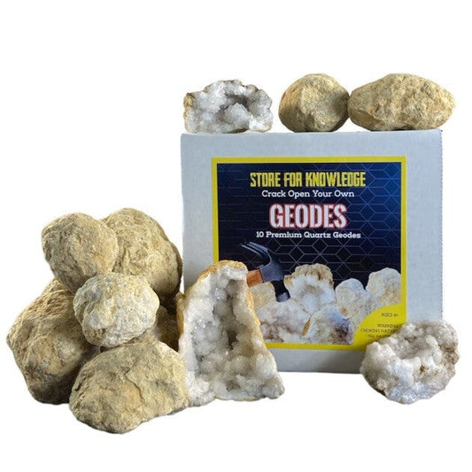 10 Break Crack Open Your Own Whole indian Geodes W/Gift Box - 2" Crystal Druzy
