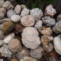 5 lbs Premium Kentucky Uncut Geodes Agates Nodules Lapidary Quartz Crystals Sale