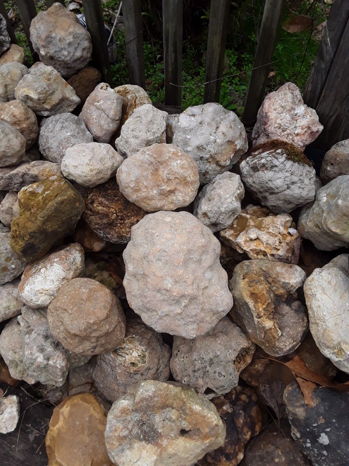 5 lbs Premium Kentucky Uncut Geodes Agates Nodules Lapidary Quartz Crystals Sale